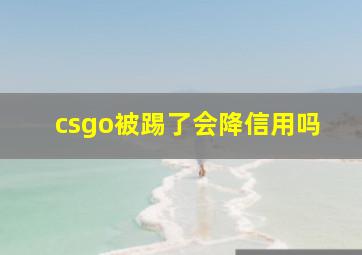 csgo被踢了会降信用吗