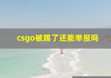 csgo被踢了还能举报吗