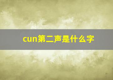 cun第二声是什么字