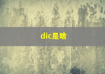 dic是啥