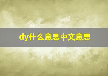 dy什么意思中文意思