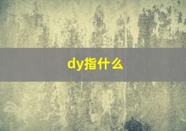 dy指什么