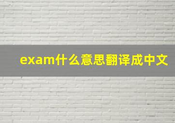 exam什么意思翻译成中文