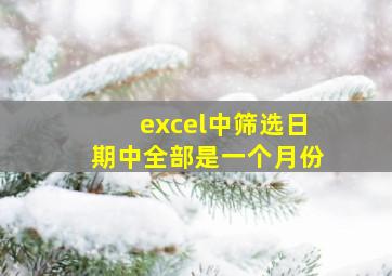 excel中筛选日期中全部是一个月份