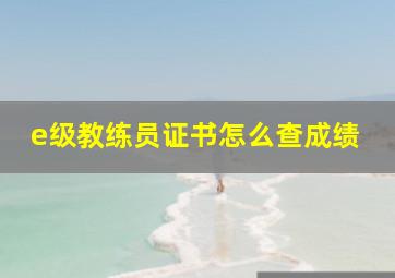 e级教练员证书怎么查成绩