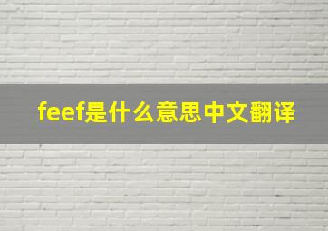 feef是什么意思中文翻译