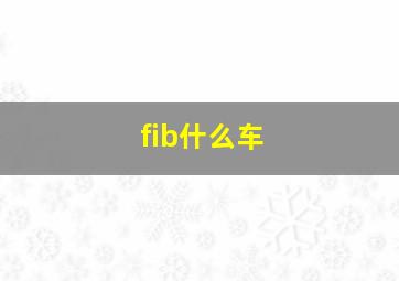 fib什么车