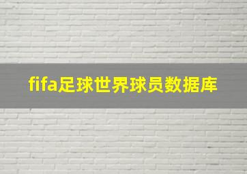 fifa足球世界球员数据库