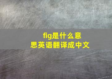 fig是什么意思英语翻译成中文