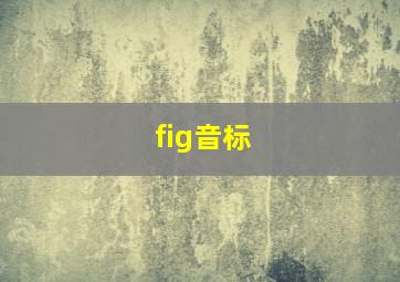 fig音标