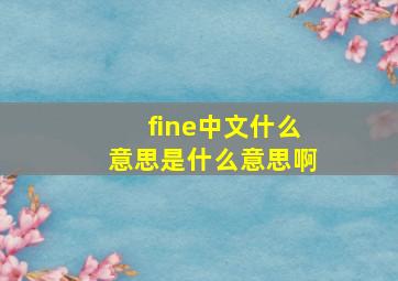 fine中文什么意思是什么意思啊