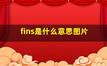 fins是什么意思图片