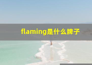 flaming是什么牌子