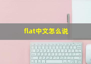 flat中文怎么说