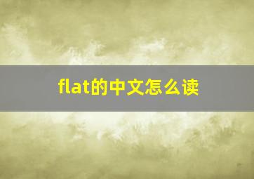 flat的中文怎么读