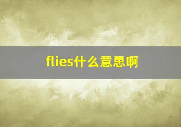 flies什么意思啊