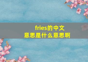 fries的中文意思是什么意思啊