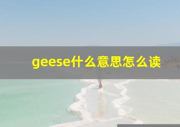 geese什么意思怎么读