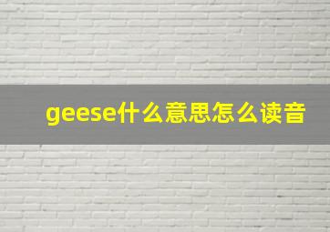 geese什么意思怎么读音