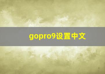 gopro9设置中文