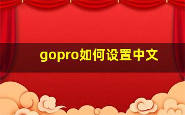 gopro如何设置中文