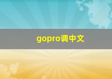 gopro调中文