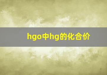 hgo中hg的化合价