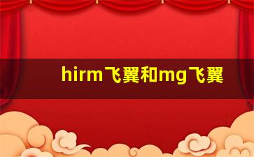 hirm飞翼和mg飞翼