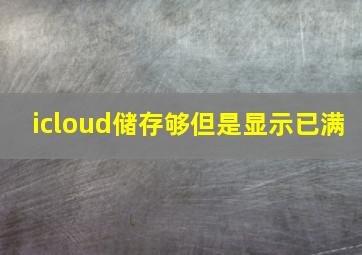 icloud储存够但是显示已满