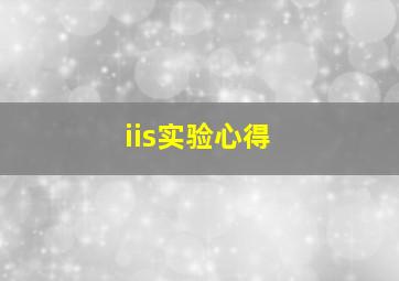 iis实验心得