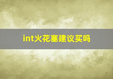 int火花塞建议买吗