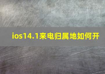 ios14.1来电归属地如何开