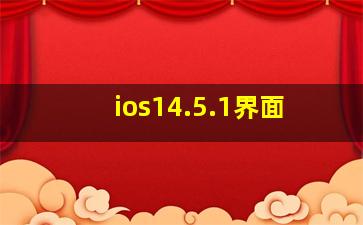 ios14.5.1界面