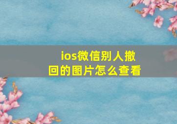 ios微信别人撤回的图片怎么查看