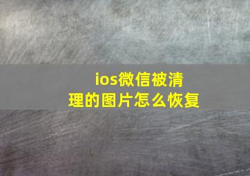 ios微信被清理的图片怎么恢复