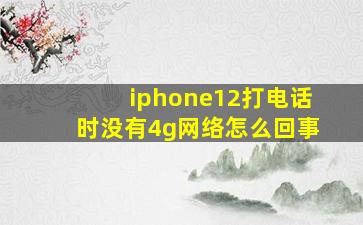 iphone12打电话时没有4g网络怎么回事