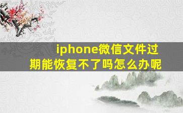 iphone微信文件过期能恢复不了吗怎么办呢