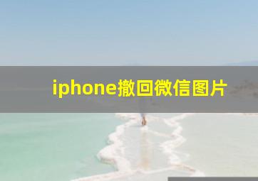 iphone撤回微信图片