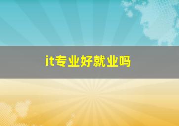 it专业好就业吗