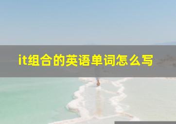 it组合的英语单词怎么写