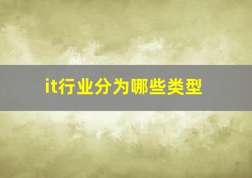 it行业分为哪些类型