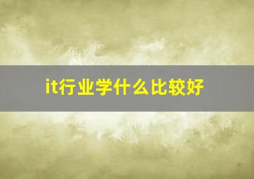 it行业学什么比较好