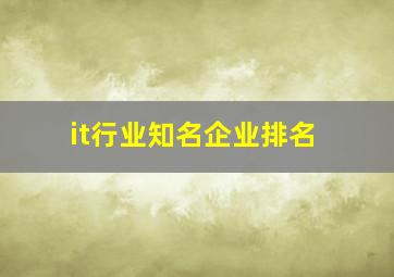 it行业知名企业排名