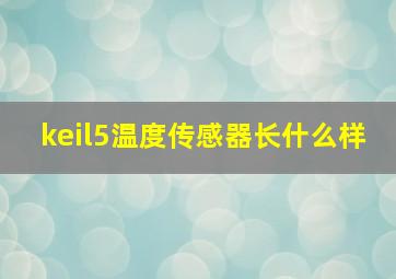 keil5温度传感器长什么样