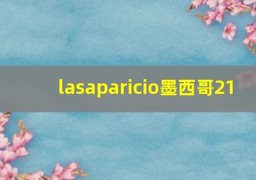 lasaparicio墨西哥21