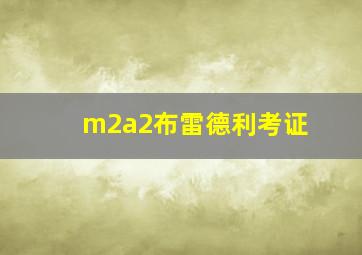 m2a2布雷德利考证