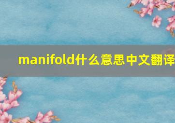 manifold什么意思中文翻译