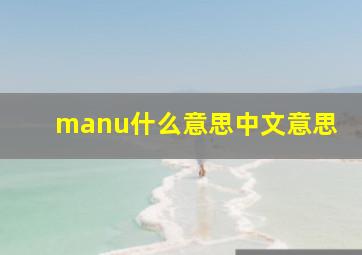 manu什么意思中文意思