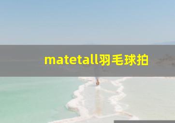 matetall羽毛球拍