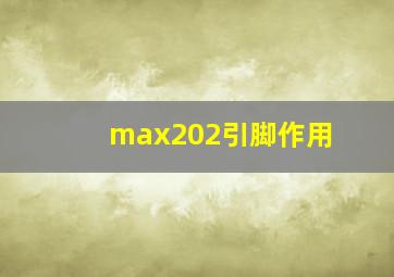 max202引脚作用